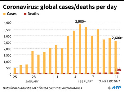 新型コロナウイルス、感染者が確認された国と地域（12日0時30分現在）