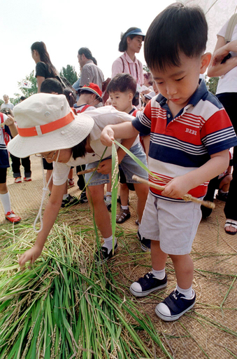 コメは自由貿易協定から断固除外 - 韓国