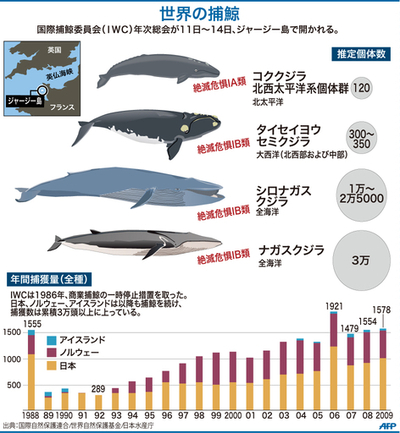 【図解】世界の捕鯨