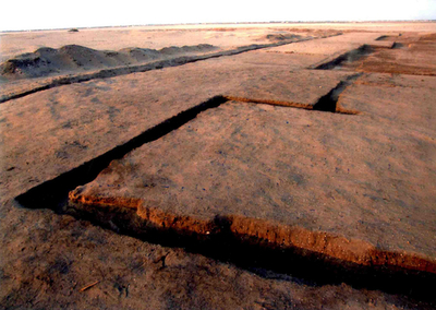 エジプト古代王朝の要塞跡地発見