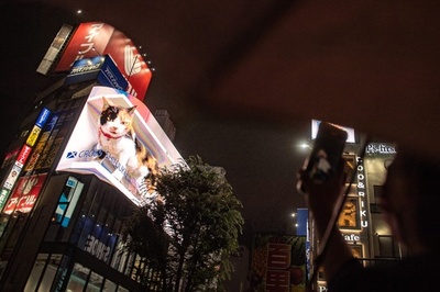 ビルの上に「巨大ネコ」出現 新宿