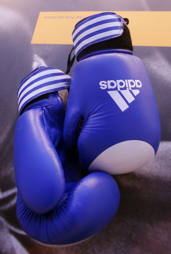 ボクサーが負けた腹いせにレフェリーを暴行、永久追放に