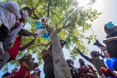 木からつり下がった黒人男性の遺体、徹底捜査へ 米