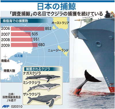 【図解】日本の捕鯨