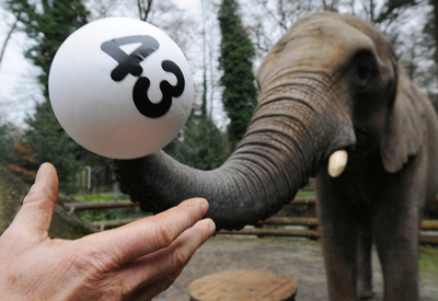 09年7月5日は百年に5回の特別な日、数術師が「興味深い」事実を発見