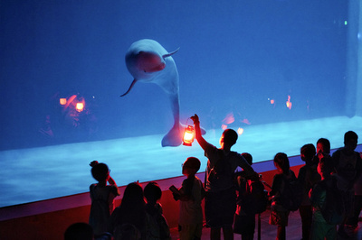 静けさと巡る「ナイトミュージアム」 中国で続々と開催