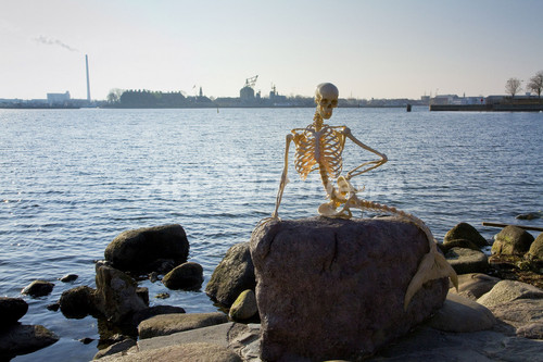 人魚姫の像が 骨 に コペンハーゲン 写真2枚 ファッション ニュースならmode Press Powered By Afpbb News