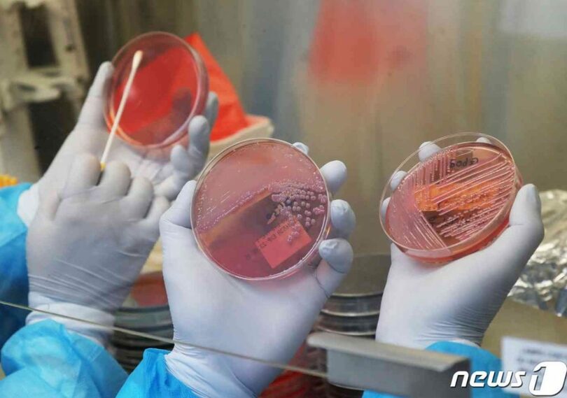 京畿道保健環境研究院で食中毒菌培養検査を実施する職員(c)news1