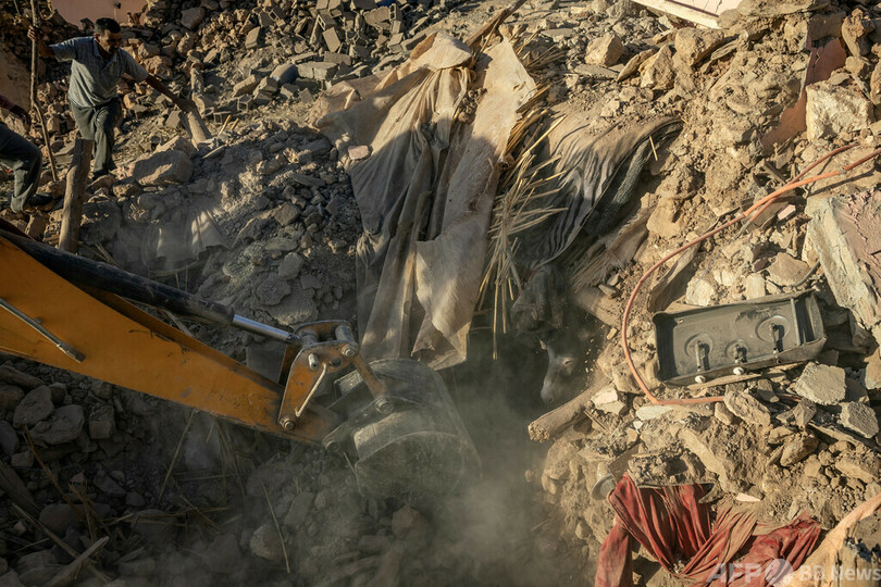 【今日の1枚】がれきに埋もれたロバを救出 モロッコ