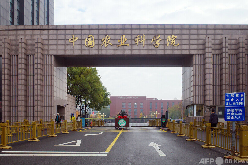 最新の研究で菜種油の「栄養価」がさらに高まる可能性 中国