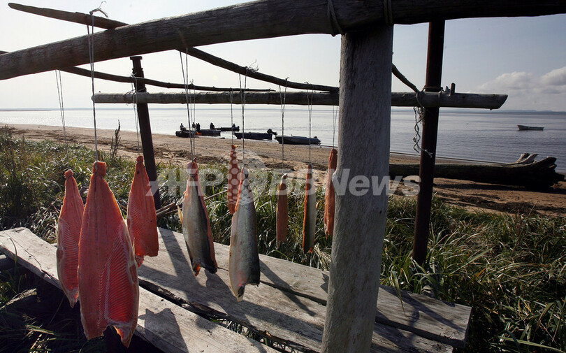 露裁判所、漁船拿捕事件で日本人船長に罰金刑