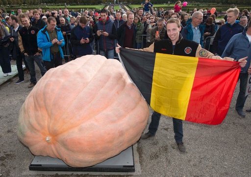 存在さ 重さ 頑丈さ 抜群のテラコッタ巨大カボチャ♡ロウソクタイプ・在庫2つあり 約1.2トンの巨大カボチャ、世界記録に ドイツ 写真14枚 国際ニュース