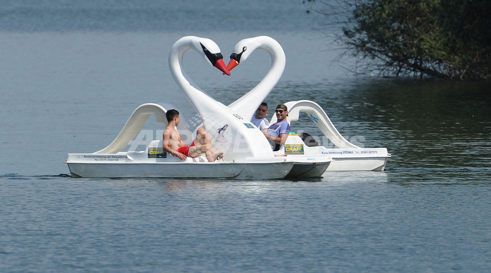 湖上の ハート すれ違うスワンボート ドイツ 写真1枚 国際ニュース Afpbb News
