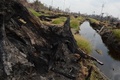 インドネシア・スマトラ（Sumatra）島リアウ（Riau）州ペララワン（Pelalawan）の森林火災があった泥炭地（2013年6月29日撮影）。(c)AFP/ROMEO GACAD