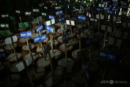 ネパール・中国洪水、死者800人に迫る 行方不明者は依然3千人超 写真7