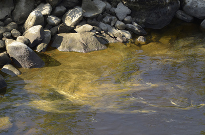 カナダ列車事故、死者13人に 原油10万リットル川に流出か