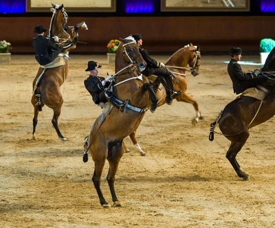 フランスの国立乗馬学校、バレエをベースにした新作披露