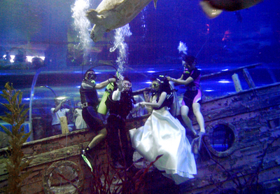経済成長続く中国、「水中挙式」など個性派結婚式がブーム