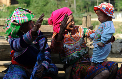 高度進化生物の閉経と寿命の謎に迫る