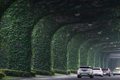 ツタが作った緑のトンネル 中国・成都市の高架橋