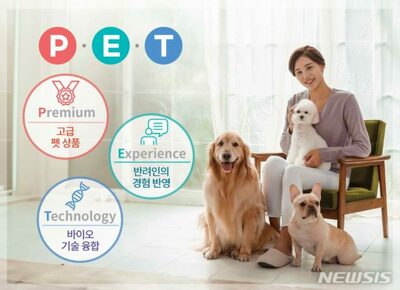 「一点集中経営は昔話」…韓国の中堅企業「事業多角化」に乗り出した