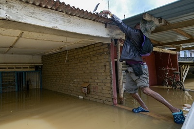  助かった…ボランティアが子猫救出 マレーシア