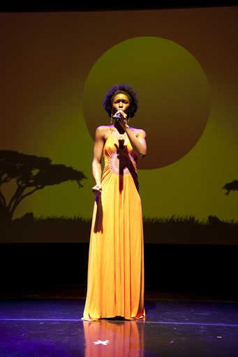 ミュージカル「ライオンキング」、興行収入で歴代首位に 米国