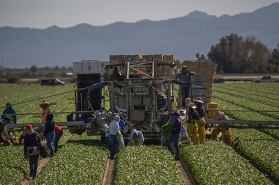 恐怖と涙と祈りの日々、米カリフォルニア州の移民コミュニティー