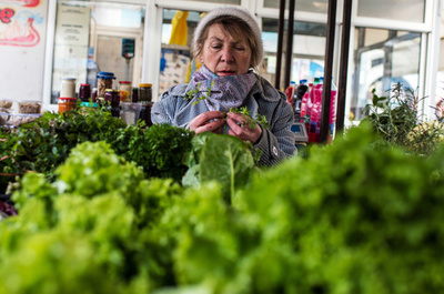 日々の葉物野菜摂取で記憶力低下を抑制か、研究