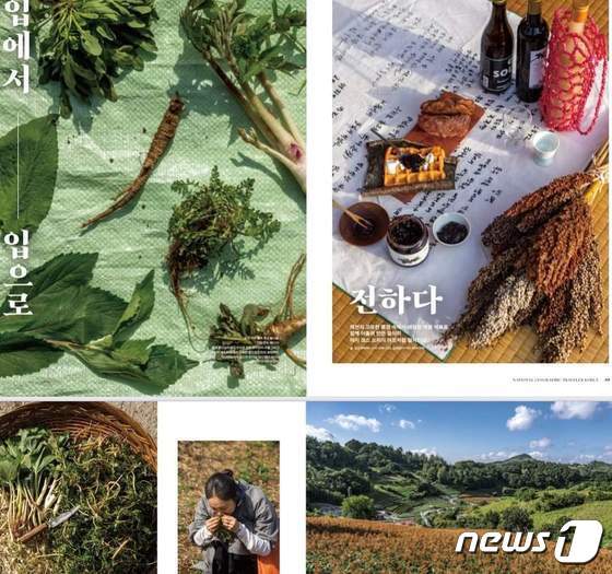 「ナショナル・ジオグラフィック・トラベラー」に掲載された堤川市の味の旅行商品（同市提供）(c)news1