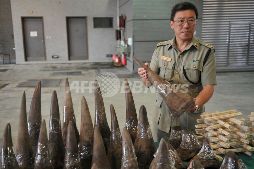 香港でサイの角33本押収、南アがDNA採取へ