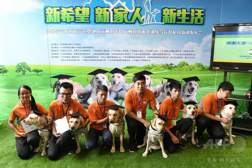 ボクたちも早くお役に立ちたい！　中国盲導犬南方師範基地から初の「卒業生」
