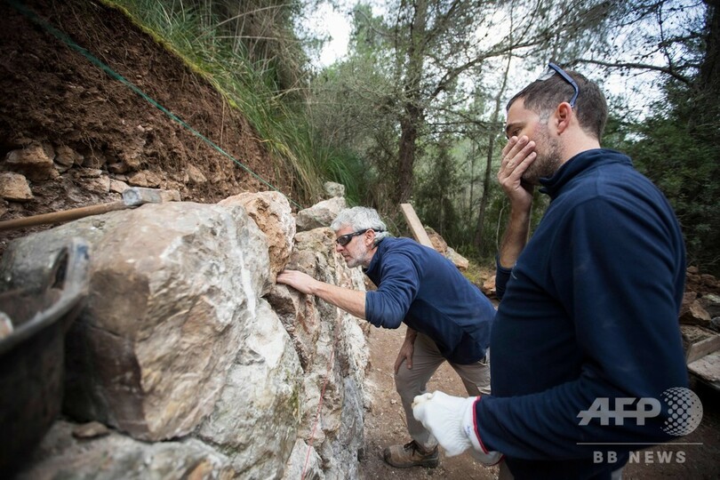 一面に広がる段々畑の石垣、しっくいを使わない特殊手法 スペイン・マヨルカ島