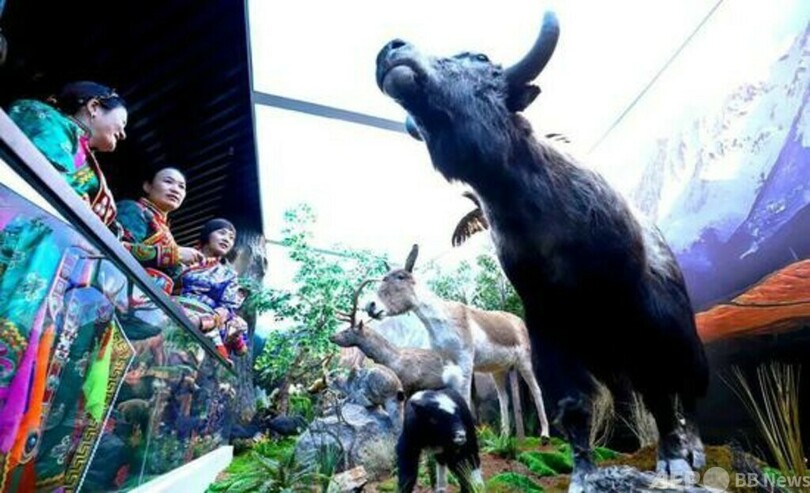 中国・祁連山脈の美しさを満喫できる自然博物館