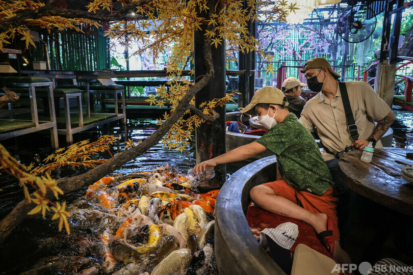 【今日の1枚】コイを見ながら舌鼓、タイのレストラン