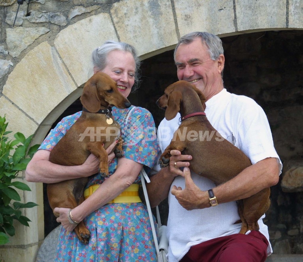 デンマーク王室の飼い犬が守衛をガブリ、野党議員ら「安楽死」要求 デンマーク王室の飼い犬が守衛をガブリ、野党議員ら「安楽死」要求