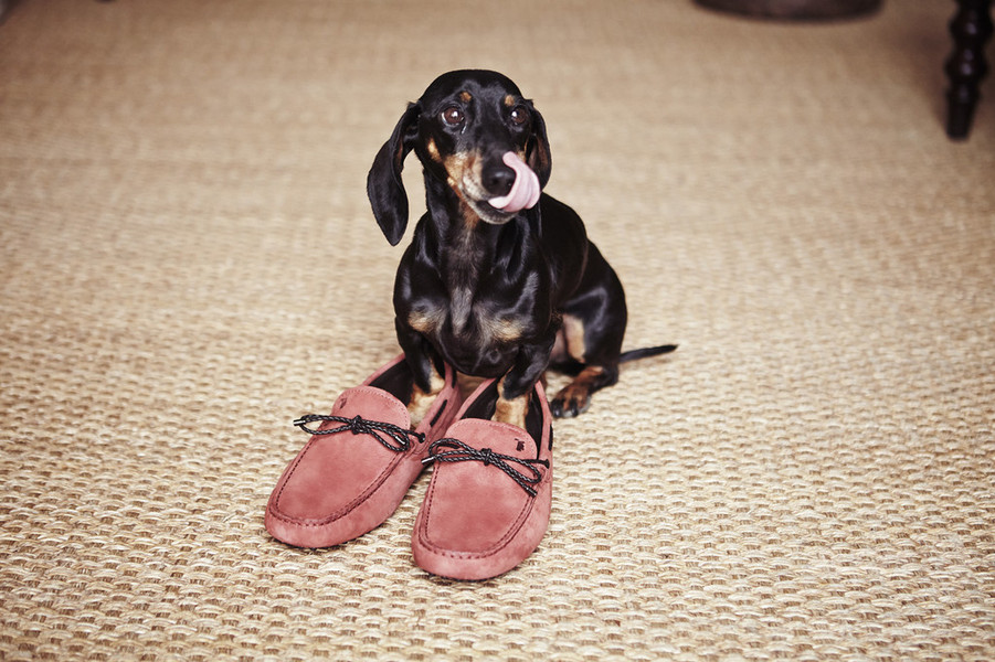 トッズ、ユーザー参加型ギャラリー「Dots of Life」をリニューアル