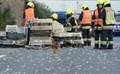 オーストリア北部リンツに近い高速道路で、トラックの積み荷が落下して逃げ出したニワトリを撤去する作業員ら（2017年7月4日撮影）。(c)AFP/APA / FOTOKERSCHI.AT/KERSCHBAUMMAYR