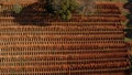 ブラジル・サンパウロ郊外の墓地に掘られた墓穴（2020年7月20日撮影）。(c)FERNANDO MARRON / AFP