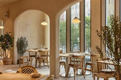 ソウル・カンナムにイタリア家庭の裏庭を再現…「OLIPEPE」4号店開業