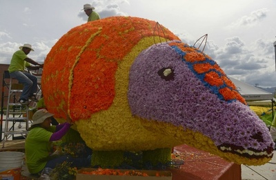 毎年恒例のフラワーフェスティバル開催、コロンビア