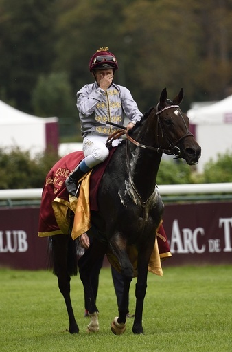 トレヴが現役続行へ、史上初の凱旋門賞3連覇目指す