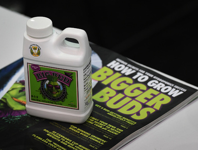 米カリフォルニア、住民投票で嗜好用大麻の合法化を可決