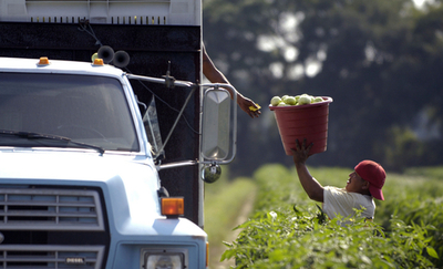 農薬を多く摂取した子どものADHD発症率は2倍、米・カナダ研究