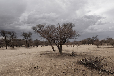 冷凍庫の中でかくれんぼ、子ども4人閉じ込められ死亡 ナミビア