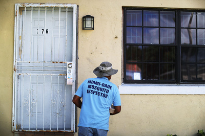 ジカ熱、小頭症など先天異常10人に1人 米CDC調査