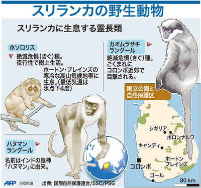 【図解】スリランカの野生動物