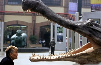 天罰？立ち小便中の旅行客、ワニに襲われる