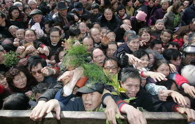 温暖化対策に熱心？ 中国・武漢の無料鉢植えに住民殺到