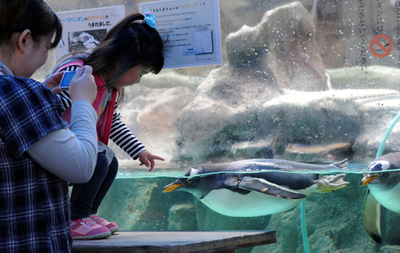 「こどもの日」、被災地・宮城にも明るい笑顔